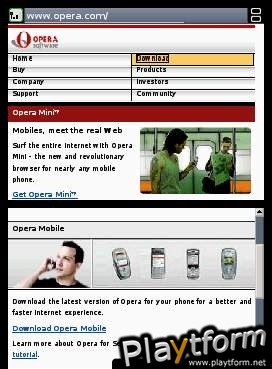 Nintendo DS Web Browser (DS)