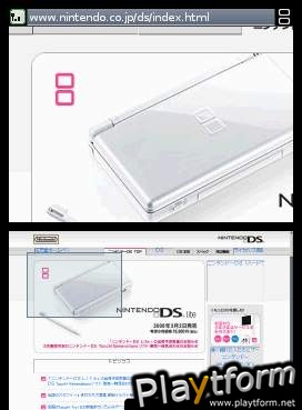 Nintendo DS Web Browser (DS)