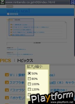 Nintendo DS Web Browser (DS)