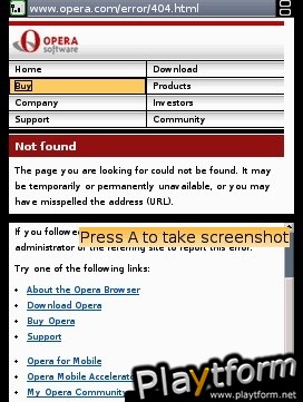 Nintendo DS Web Browser (DS)