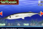 Fishing Master (Wii)