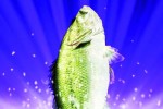 Fishing Master (Wii)