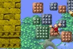 DK Jungle Climber (DS)