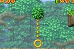 DK Jungle Climber (DS)