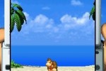 DK Jungle Climber (DS)