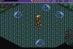 LandStalker: The Treasures of King Nole (Wii)