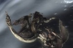 Lair (PlayStation 3)