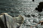 Lair (PlayStation 3)