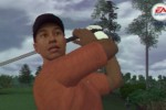 Tiger Woods PGA Tour 08 (PlayStation 2)