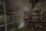 Instinct (PC)