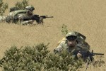 Combat Mission: Shock Force (PC)