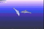 Ecco the Dolphin (Xbox 360)