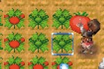 Rune Factory: A Fantasy Harvest Moon (DS)