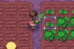 Rune Factory: A Fantasy Harvest Moon (DS)