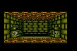 Shining in the Darkness (Wii)