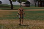 Metin2 (PC)