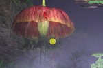Escape from Bug Island (Wii)