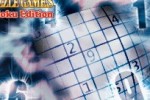 Ultimate Puzzle Games: Sudoku Edition (DS)