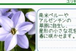Hana Saku DS Gardening Life (DS)