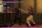 Ninja Gaiden Sigma (PlayStation 3)