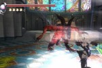 Ninja Gaiden Sigma (PlayStation 3)