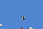 Super Mario Bros. 2 (Wii)