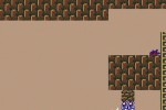 Super Mario Bros. 2 (Wii)
