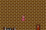 Super Mario Bros. 2 (Wii)