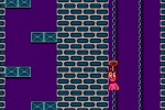 Super Mario Bros. 2 (Wii)