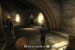 Harry Potter and the Order of the Phoenix (PC)