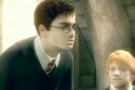 Harry Potter and the Order of the Phoenix (PC)