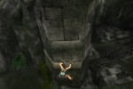 Tomb Raider: Anniversary (PC)