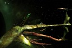 Spaceforce: Rogue Universe (PC)