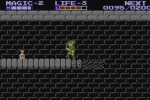 Zelda II: The Adventure of Link (Wii)