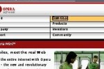 Nintendo DS Web Browser (DS)