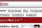 Nintendo DS Web Browser (DS)