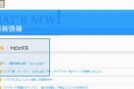 Nintendo DS Web Browser (DS)