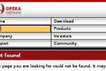 Nintendo DS Web Browser (DS)