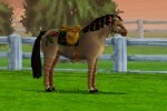 Pony Friends (DS)