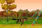 Pony Friends (DS)