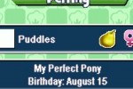 Pony Friends (DS)