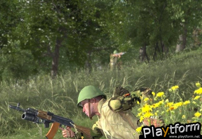 ArmA: Combat Operations (PC)
