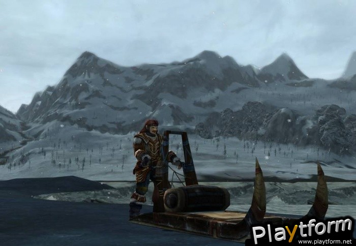 The Lord of the Rings Online: Shadows of Angmar (PC)