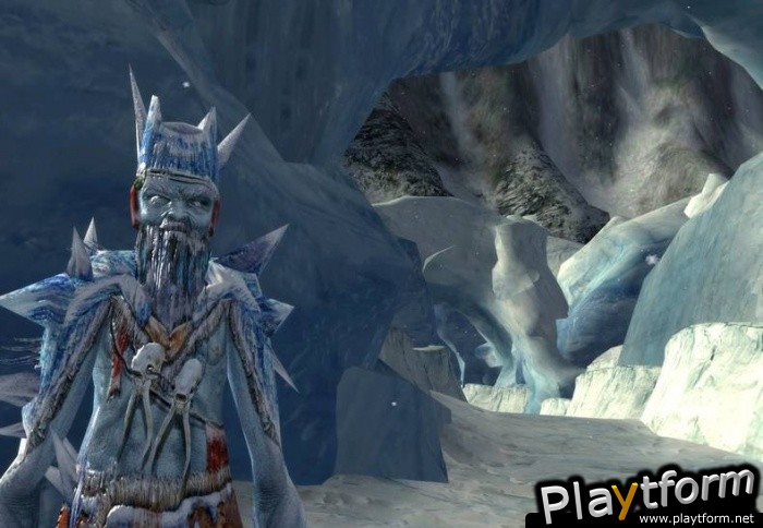 The Lord of the Rings Online: Shadows of Angmar (PC)