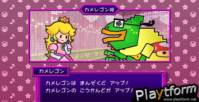 Super Paper Mario (Wii)