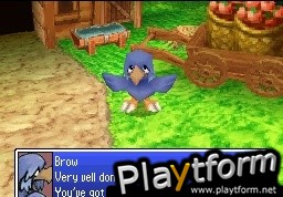 Final Fantasy Fables: Chocobo Tales (DS)