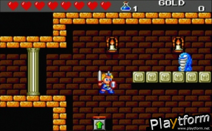 Dragon's Curse (Wii)