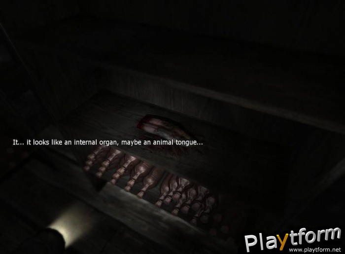 Penumbra: Overture -- Episode One (PC)