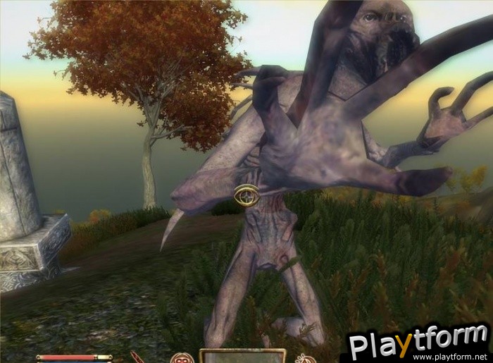 The Elder Scrolls IV: Shivering Isles (PC)