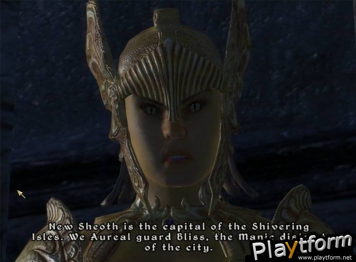 The Elder Scrolls IV: Shivering Isles (PC)